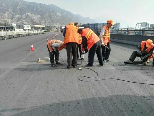 来安道路桥梁病害治理